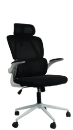 SILLA JEMIP OFFICE WHITE MONEY